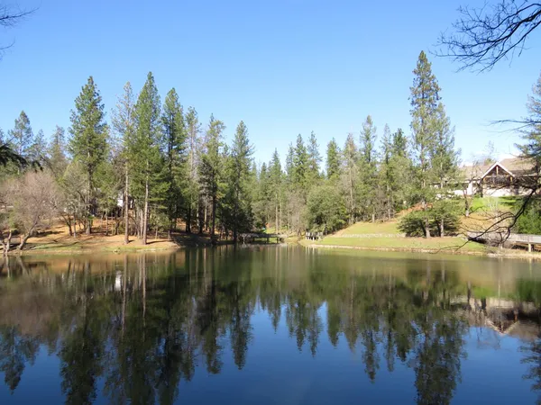 a view of lake with trees
