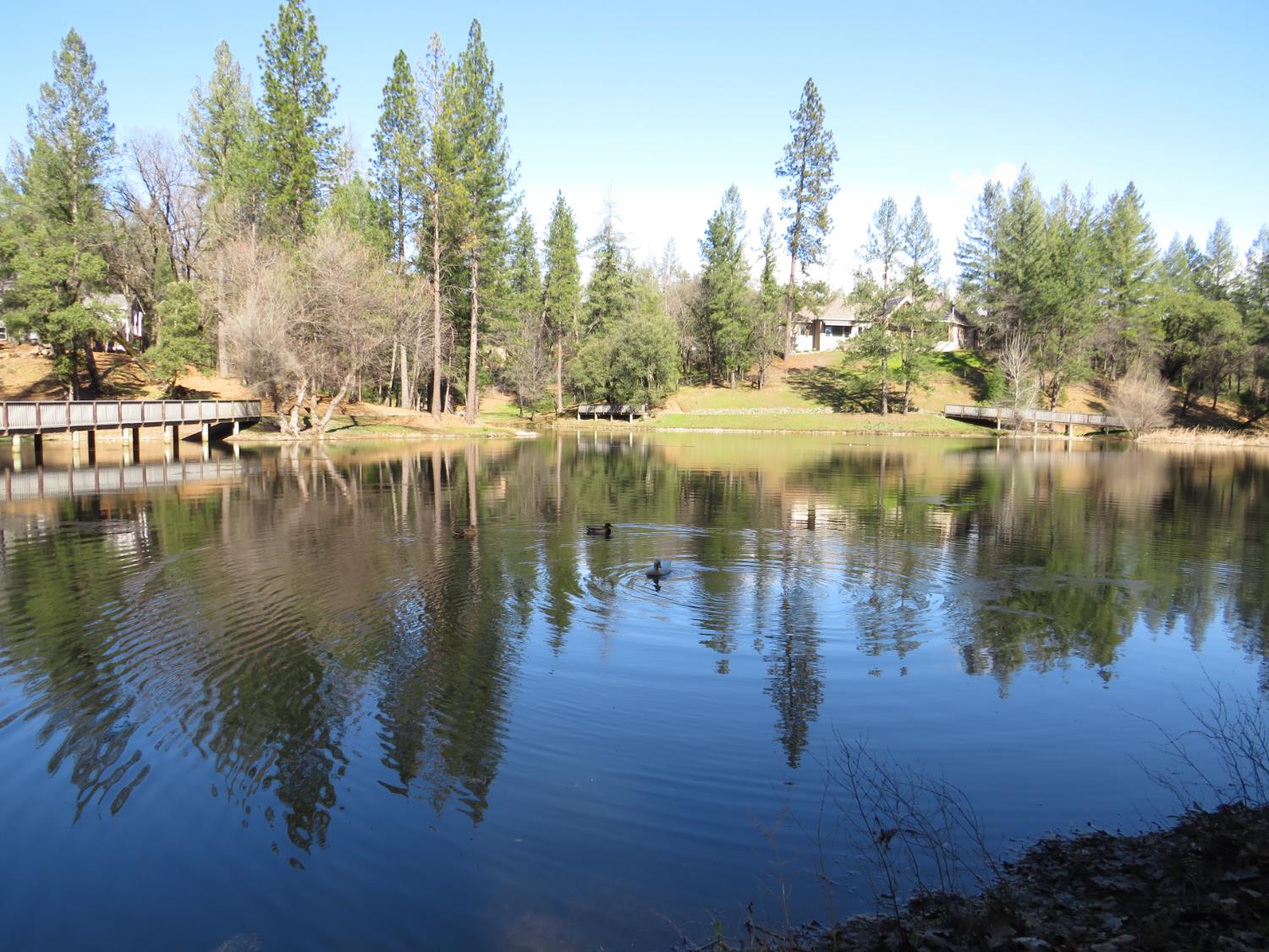 0 Forest Lake Place Colfax, CA 95713 - Photo 25 of 25 Community lake available for residents