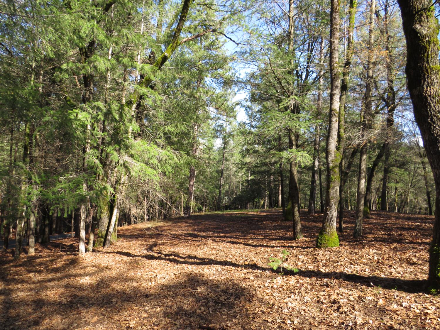 0 Forest Lake Place Colfax, CA 95713 - Photo 3 of 25