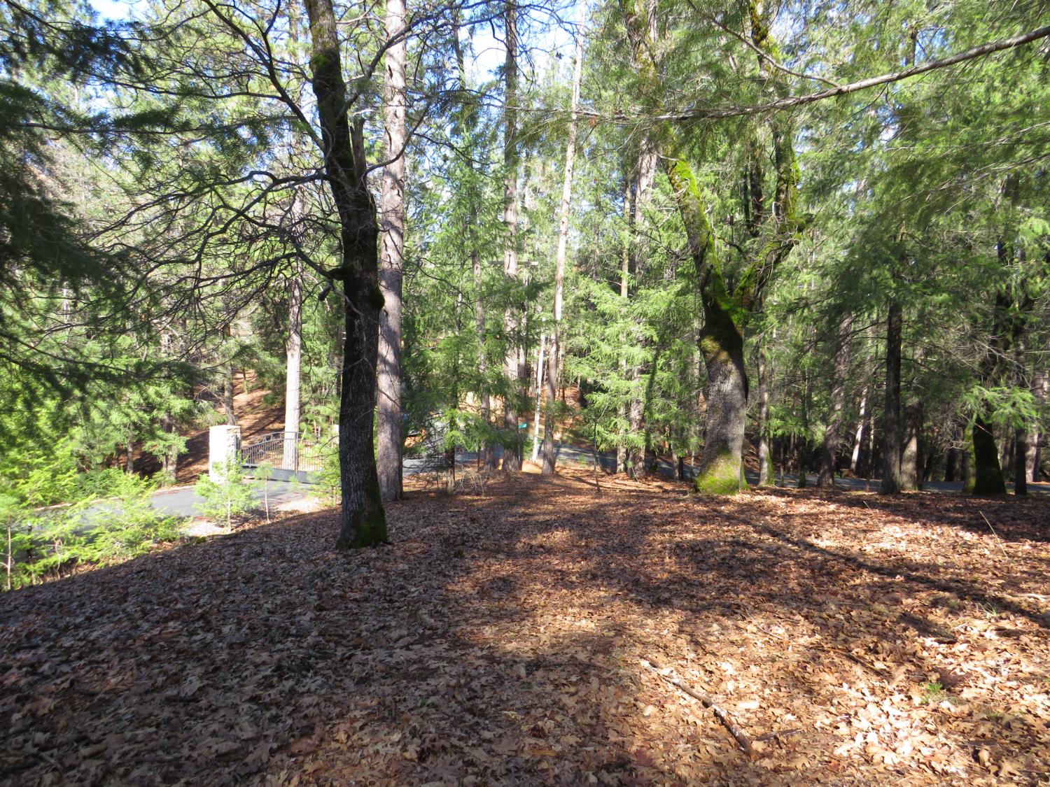 0 Forest Lake Place Colfax, CA 95713 - Photo 7 of 25
