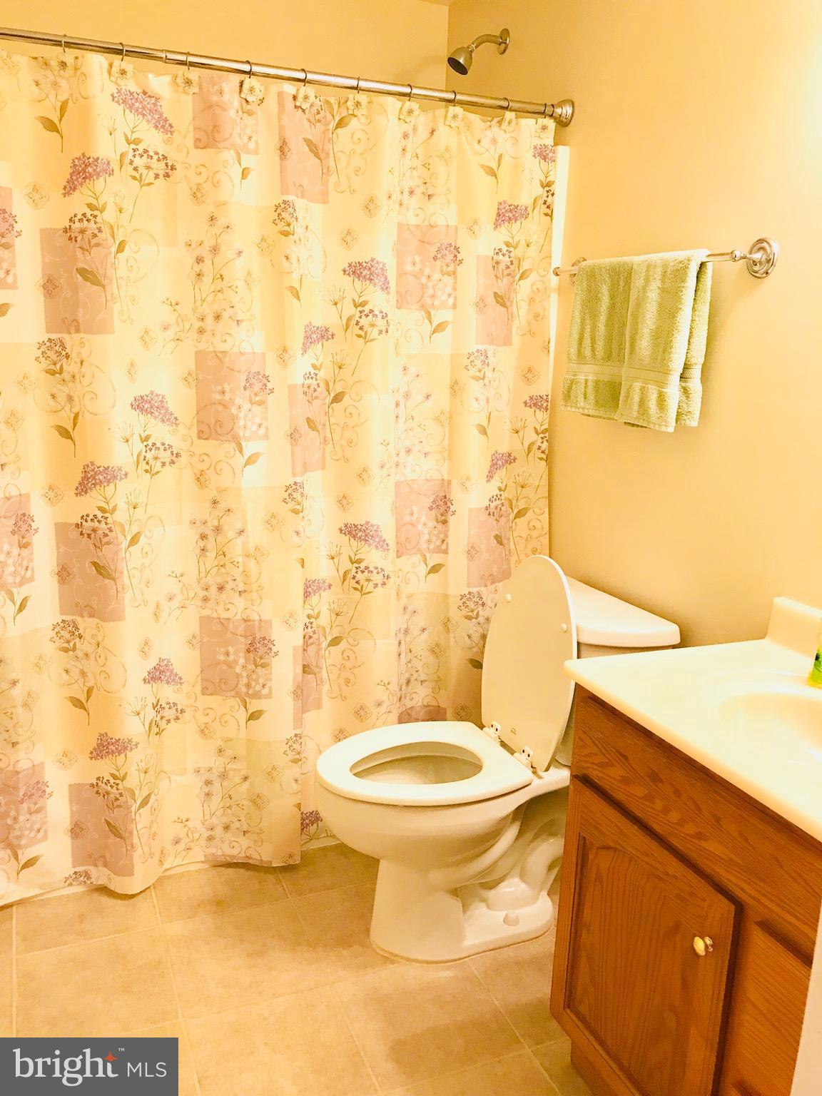 2313 Ruth Avenue Baltimore, MD 21219 - Photo 20 of 25 a bathroom with a sink and a toilet