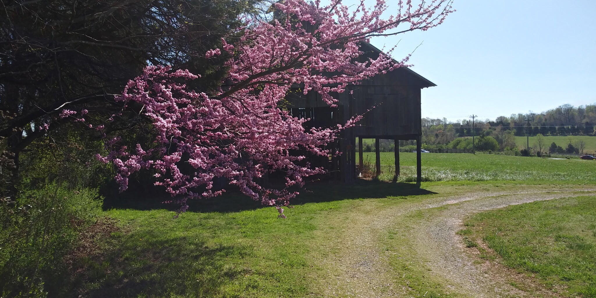 11299 Moneta Road Moneta, VA 24121 - Photo 23 of 26 4085767866772176932
