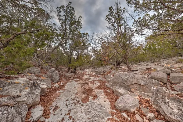 $795,000 | 438-2 Yellowstone Lane, Hunt, TX 78024
