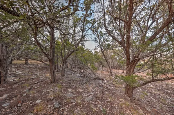 $795,000 | 438-2 Yellowstone Lane, Hunt, TX 78024