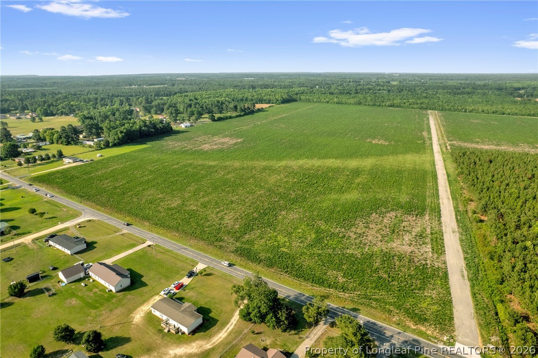 0 Old Wire (lot 11) Road Shannon, NC 28386 - Photo 6 of 17