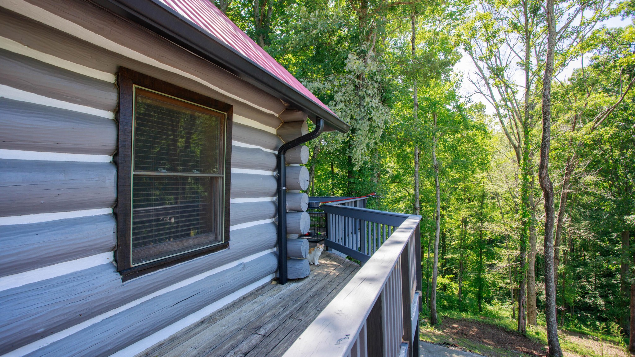 2031 Sulphur Springs Road Clinton, TN 37716 - Photo 28 of 31 a view of outdoor space and deck