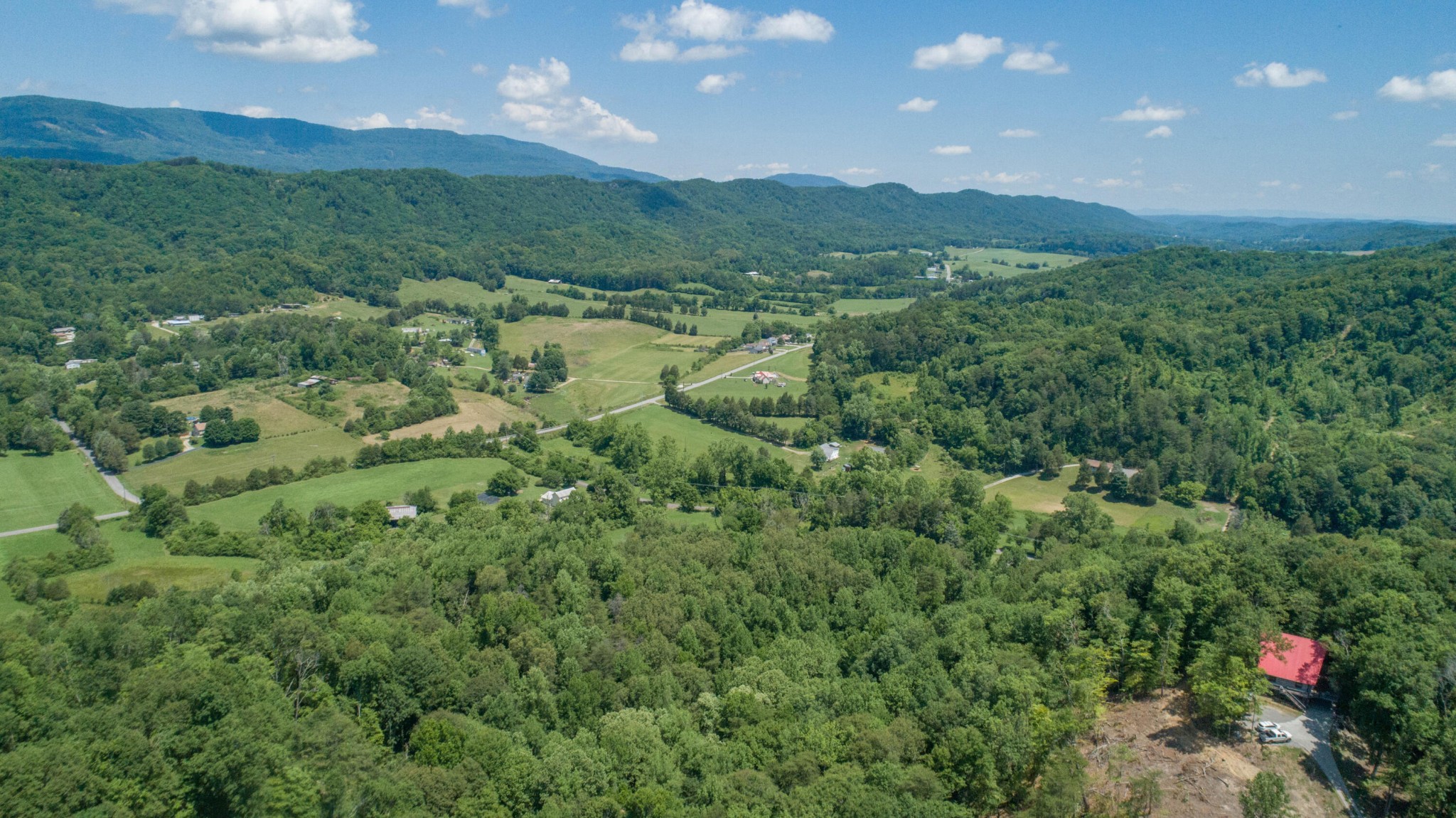 2031 Sulphur Springs Road Clinton, TN 37716 - Photo 31 of 31 a view of a lush green forest with lots of trees