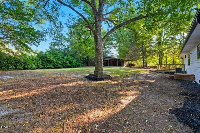 a view of a tree in the middle of a yard