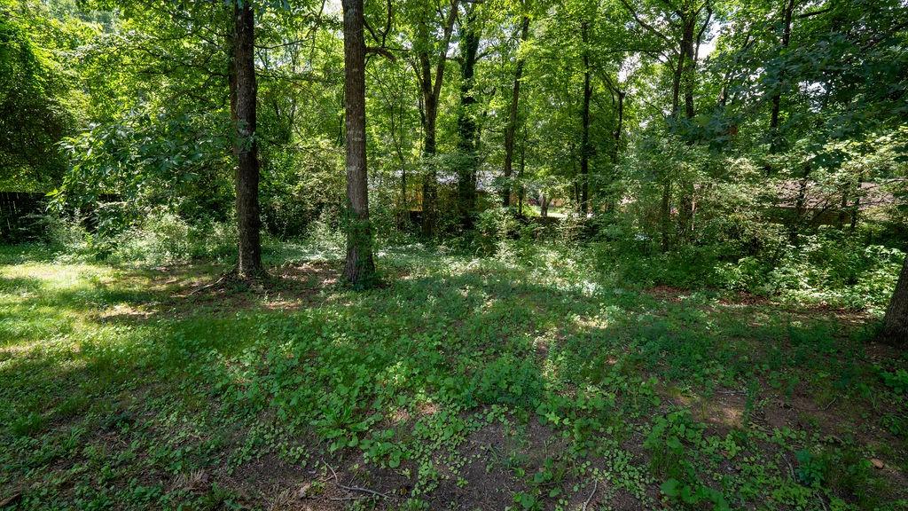 18 Azalea Drive Southeast Cartersville, GA 30121 - Photo 28 of 30