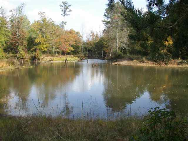 1020 Slab Bridge Road Liberty, SC 29657 - Photo 1 of 4