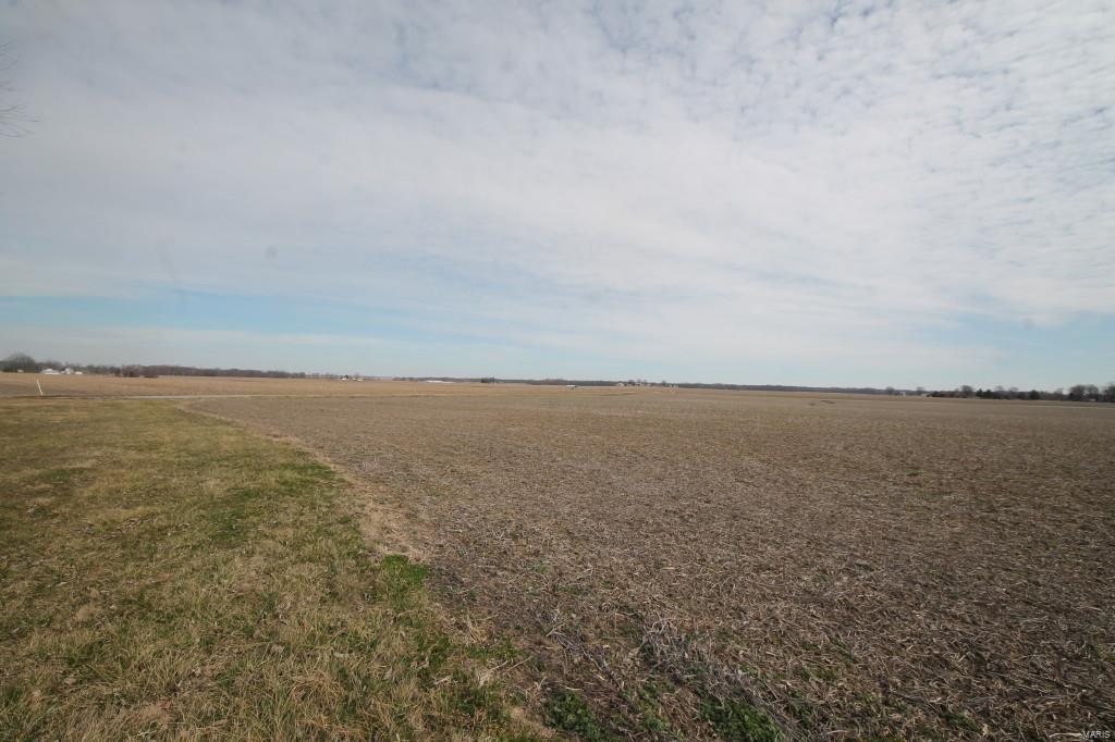 2461 Rentchler Road Belleville, IL 62221 - Photo 54 of 56