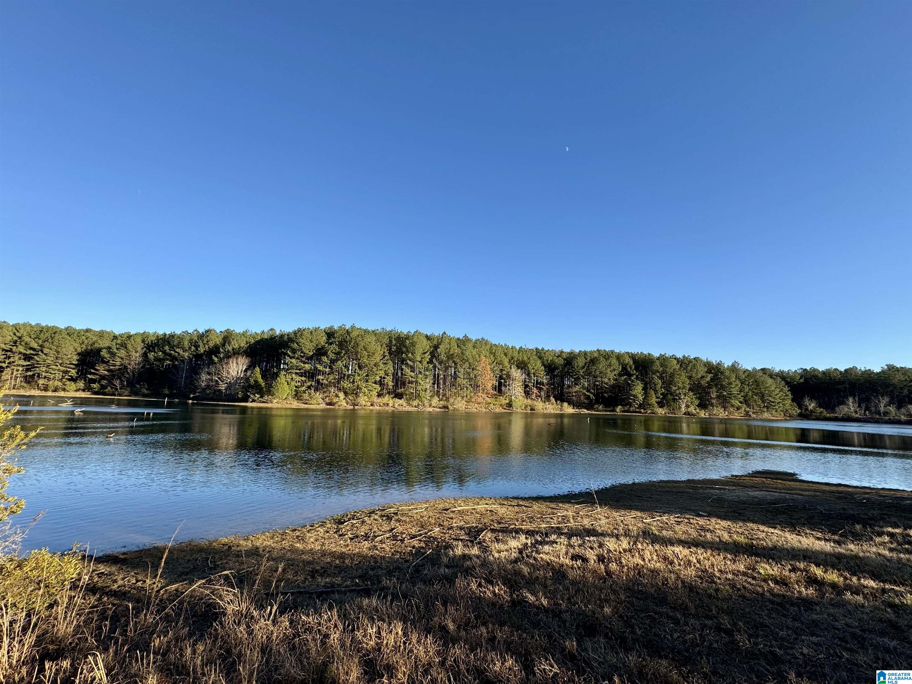 10000 Eastern Valley Road, Unit 10000 West Blocton, AL 35184 - Photo 1 of 21