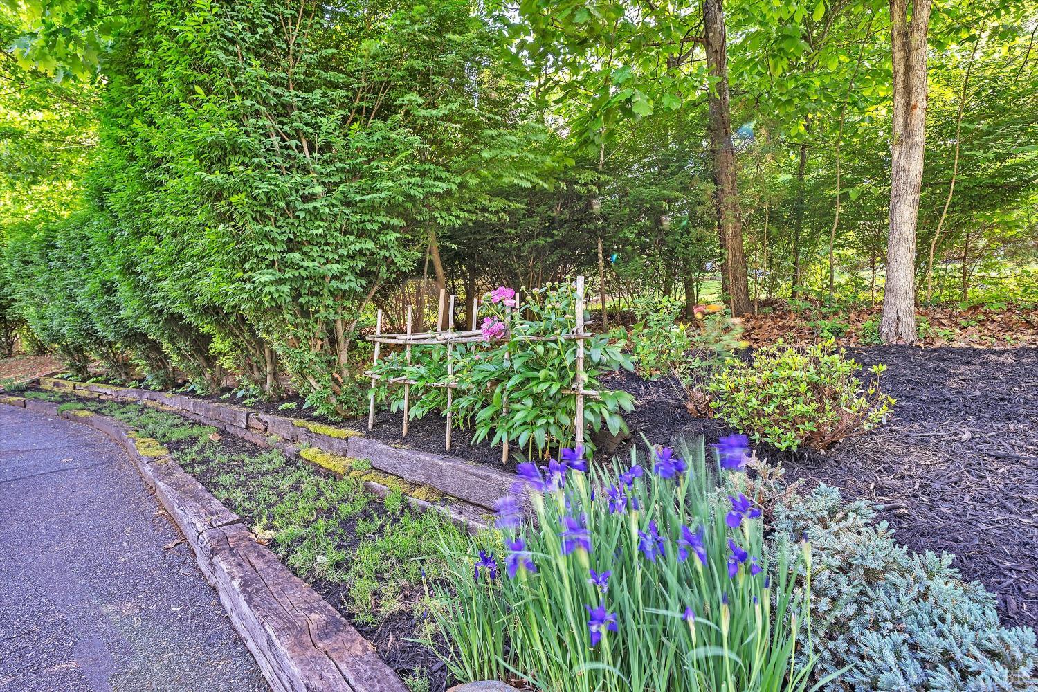 301 Brookfield Road Lynchburg, VA 24503 - Photo 51 of 55 Gallery Image 51