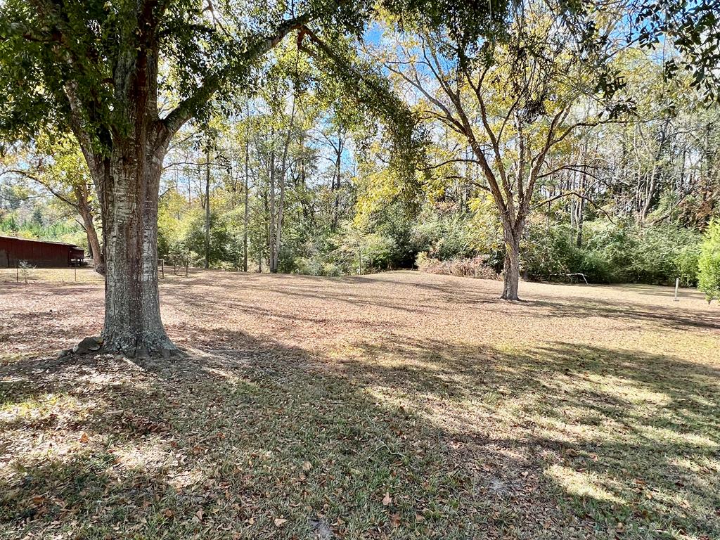 1531 Hornsby Road Samson, AL 36477 - Photo 12 of 41