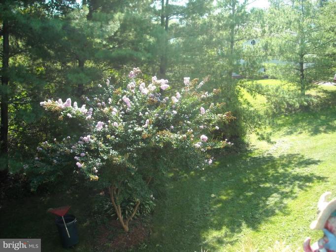 8612 Daytona Road Rosedale, MD 21237 - Photo 22 of 23 a view of a tree