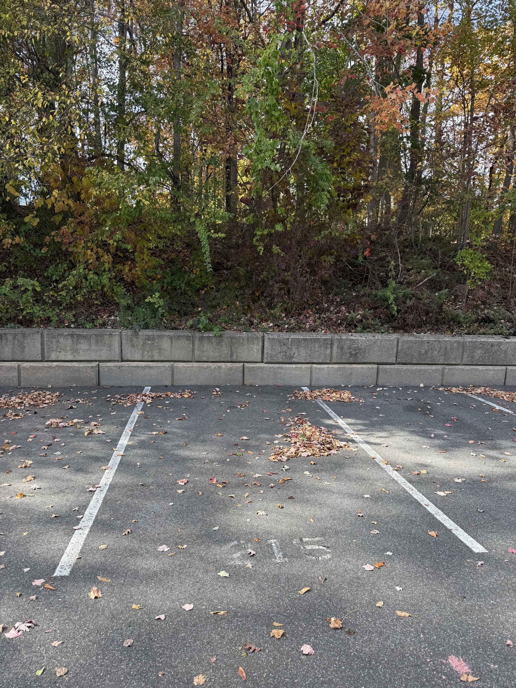 175 Mill Pond Road, Unit 215 Hamden, CT 06514 - Photo 17 of 19 a view of a yard