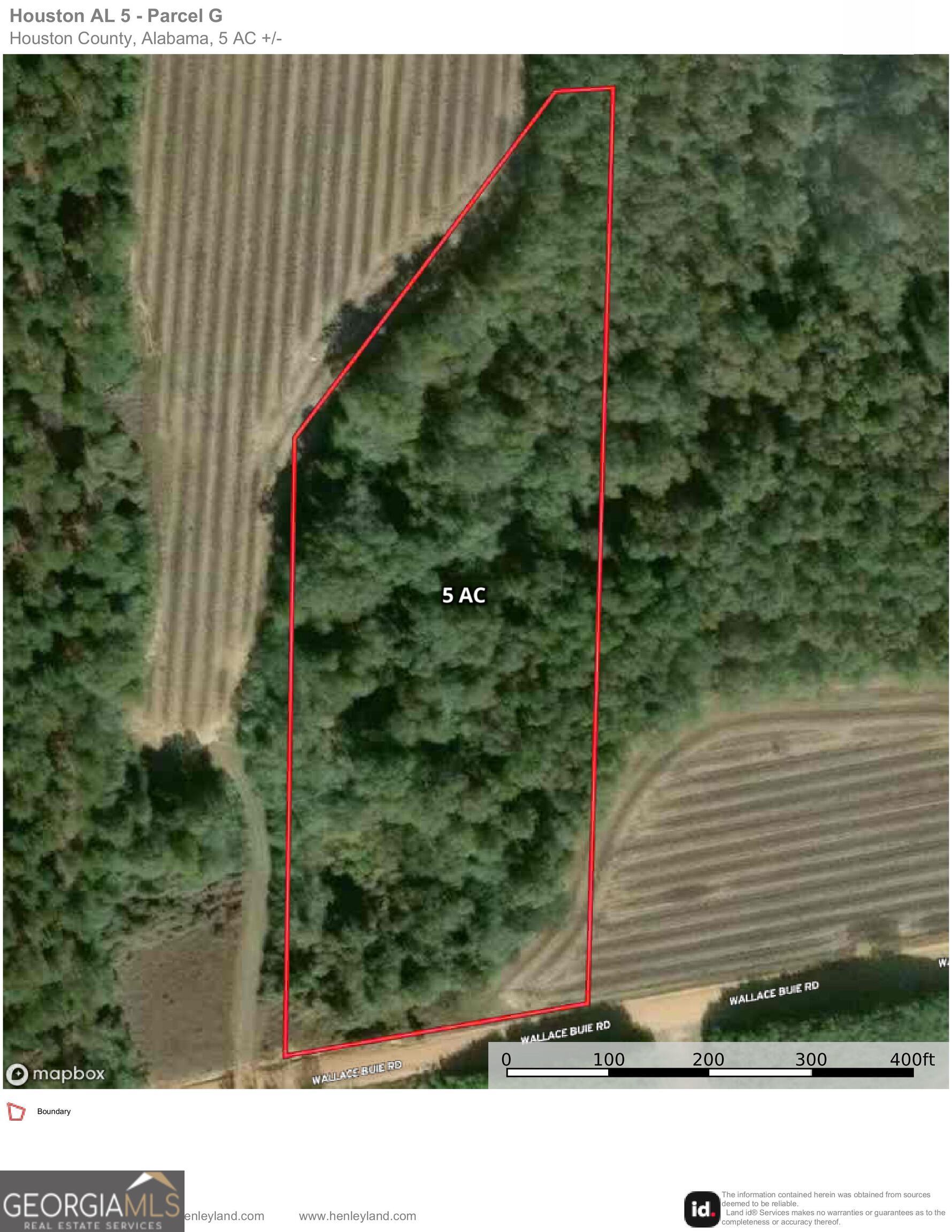5 G Wallace Buie Road Webb, AL 36376 - Photo 2 of 10