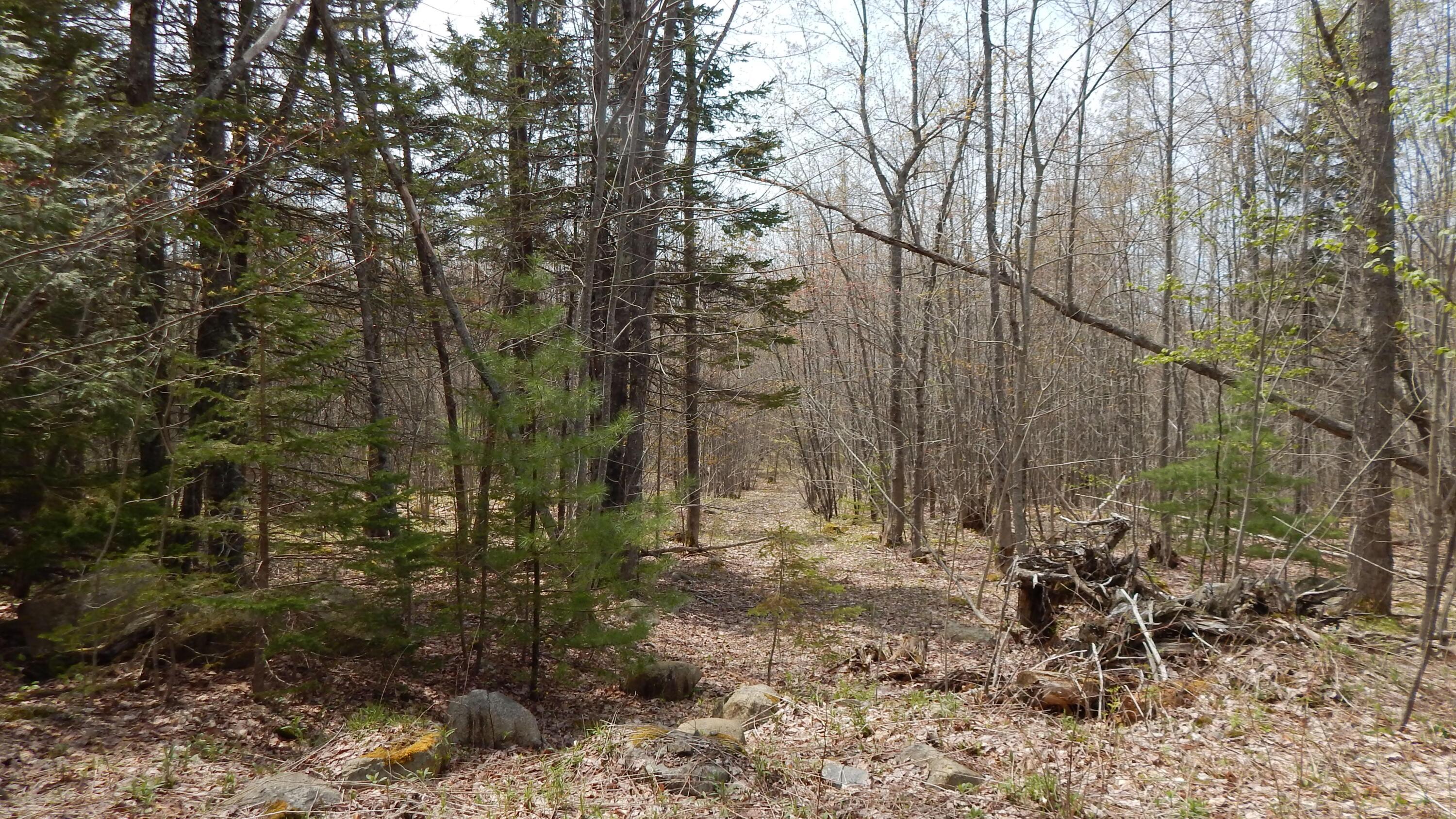 0 Ashville Road Sullivan, ME 04664 - Photo 17 of 42 DSCN7748