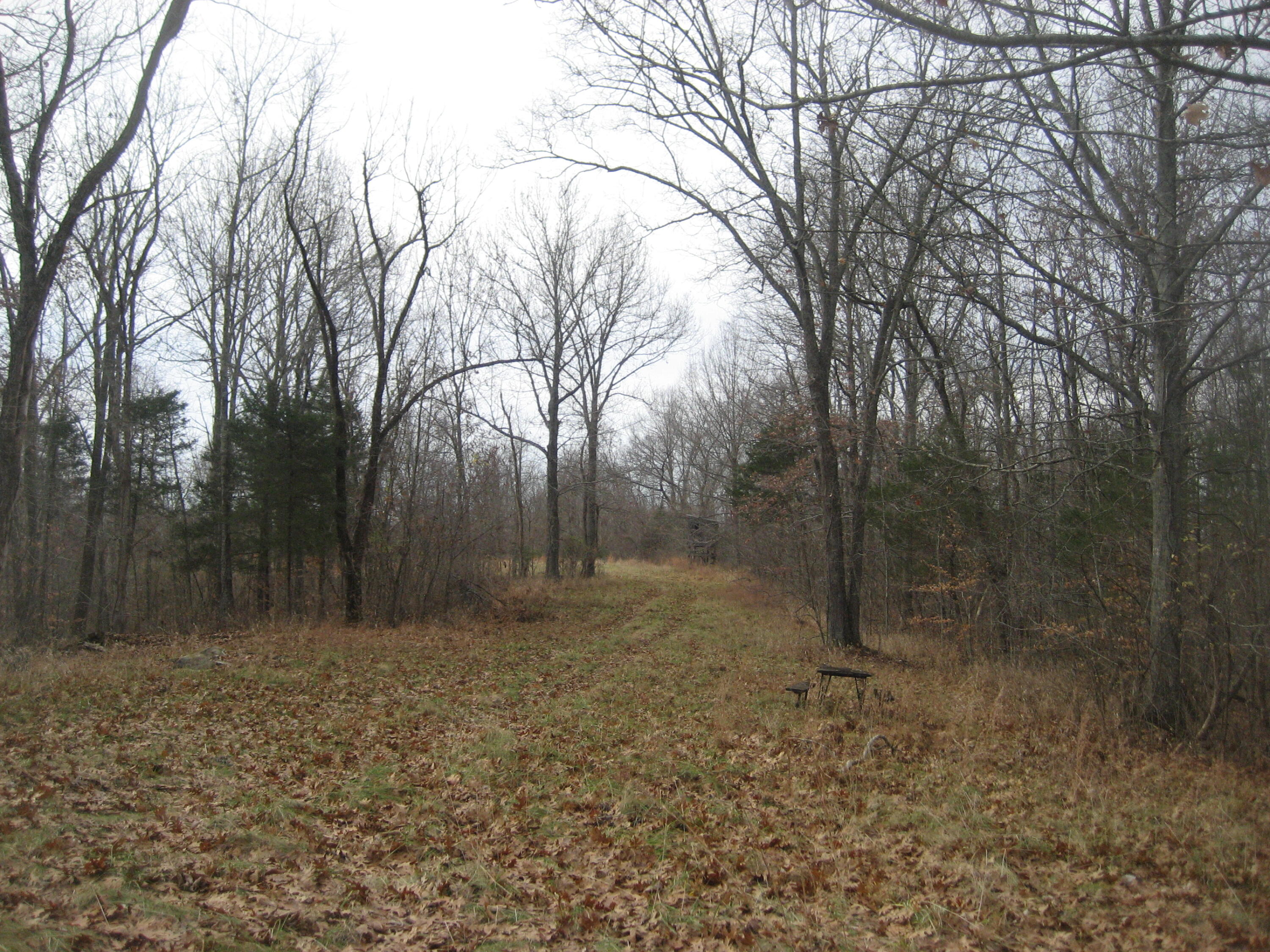 1234 Prather Ridge Road Willisburg, KY 40078 - Photo 4 of 16 IMG_0363