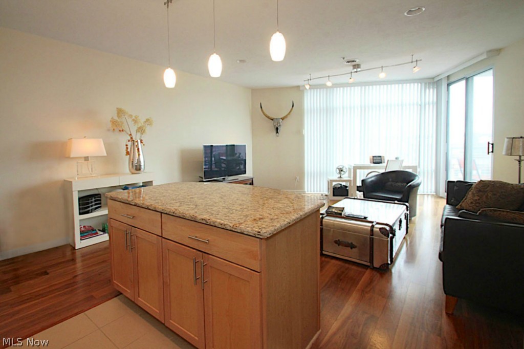 1237 Washington Avenue, Unit 1010 Cleveland, OH 44113 - Photo 9 of 20