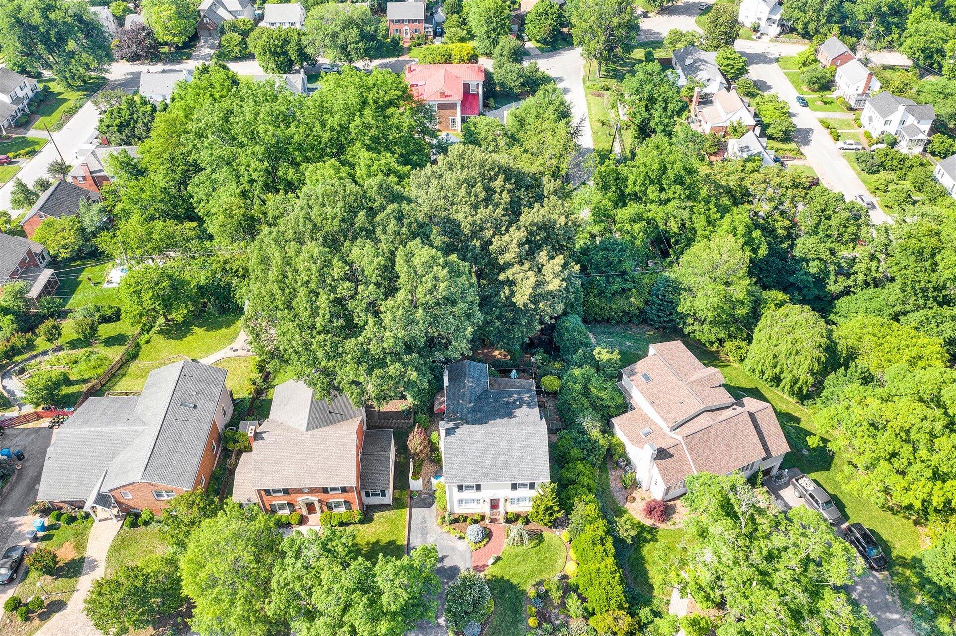 2311 Mt Vernon Road Southwest Roanoke, VA 24015 - Photo 47 of 52 55-060620220114