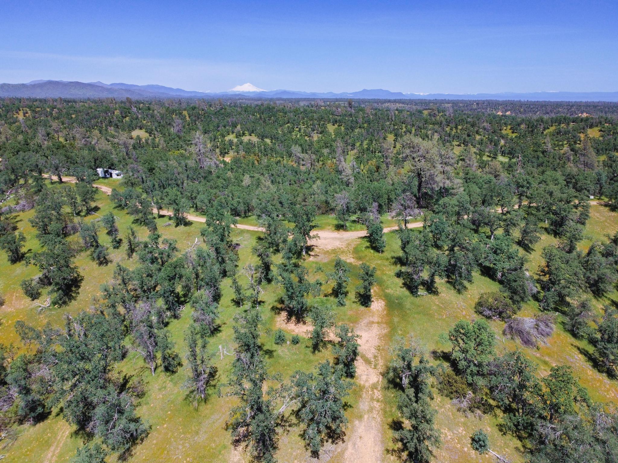40 Two Feathers Road Igo, CA 96047 - Photo 2 of 16 DJI_0123