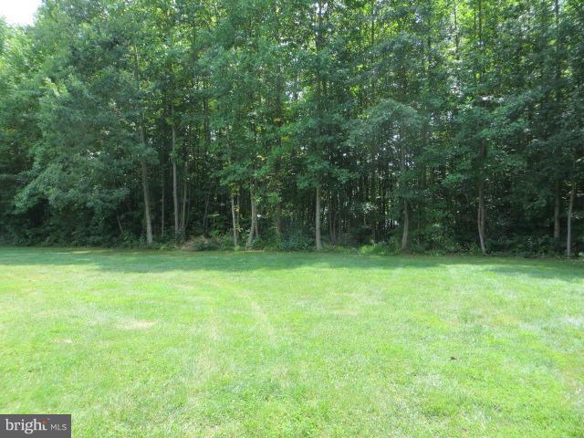 28 Wood Chip Road Elkton, MD 21921 - Photo 25 of 26 BACK YARD VIEWS