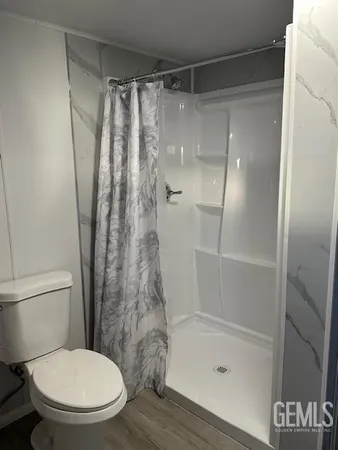 a bathroom with a shower and a toilet