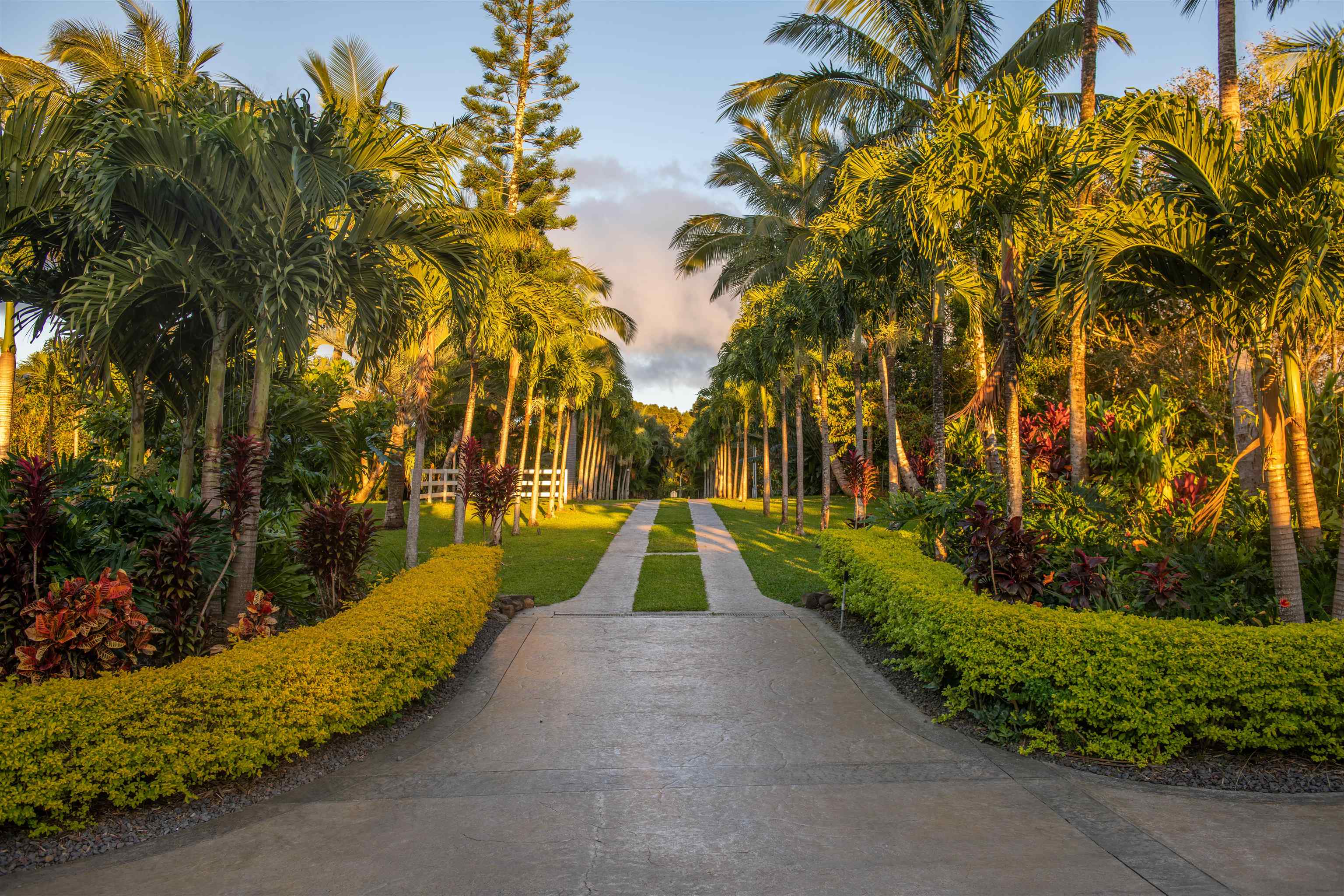 65 North Holokai Road Haiku, HI 96708 - Photo 2 of 50 a park view with large trees