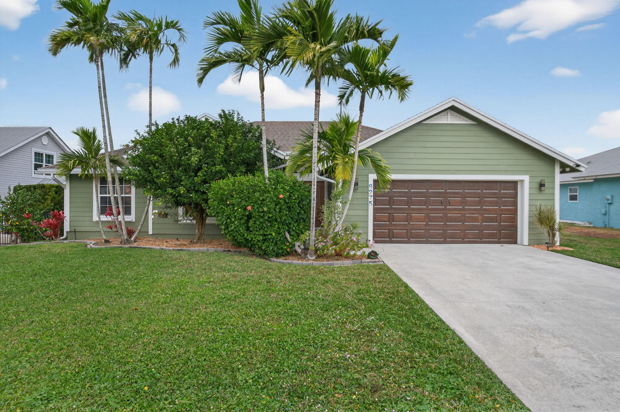 a palm tree sitting in front of a house with potted plants