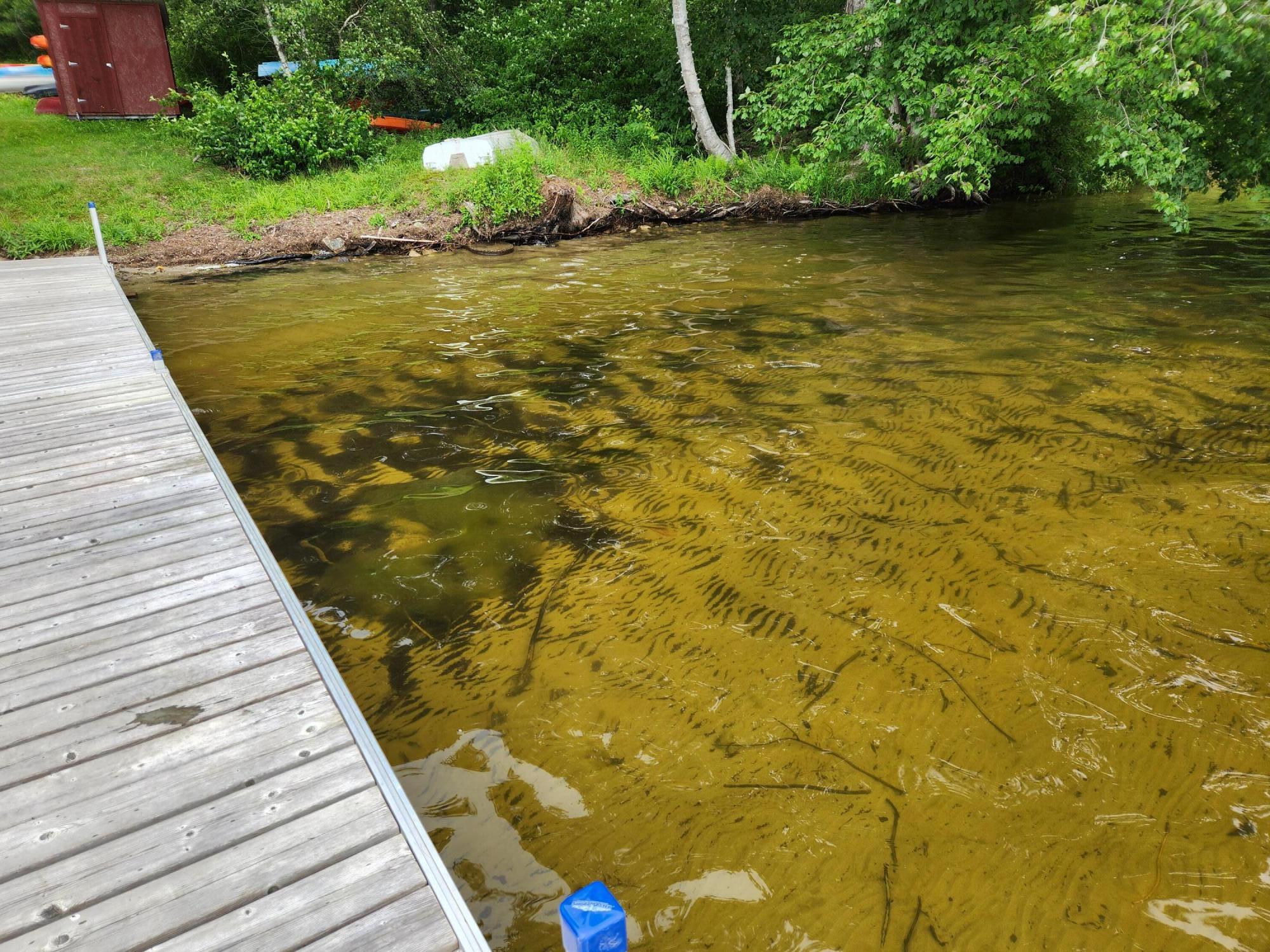 Map 35-lot Map 35-lot Gates Road Jefferson, ME 04348 - Photo 21 of 23 20230807_141703