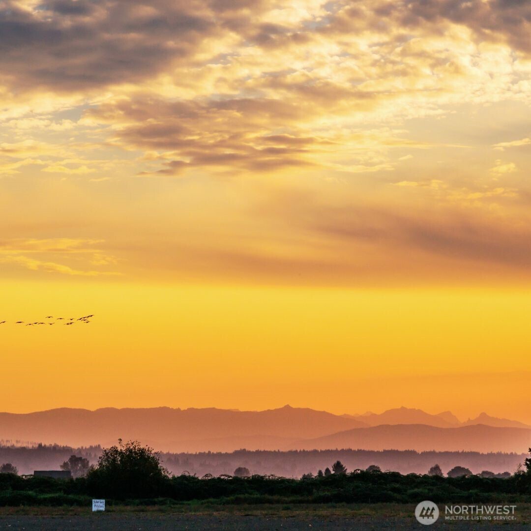 5822 Lowell Larimer Road Everett, WA 98208 - Photo 36 of 36 a view of a town with mountains in the background