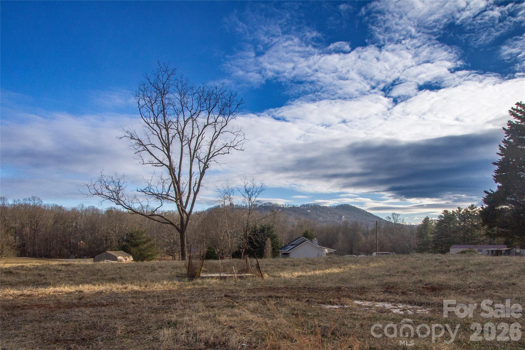 205 Southern Charm Road Arden, NC 28704 - Photo 32 of 34 a view of a yard with snow on the road