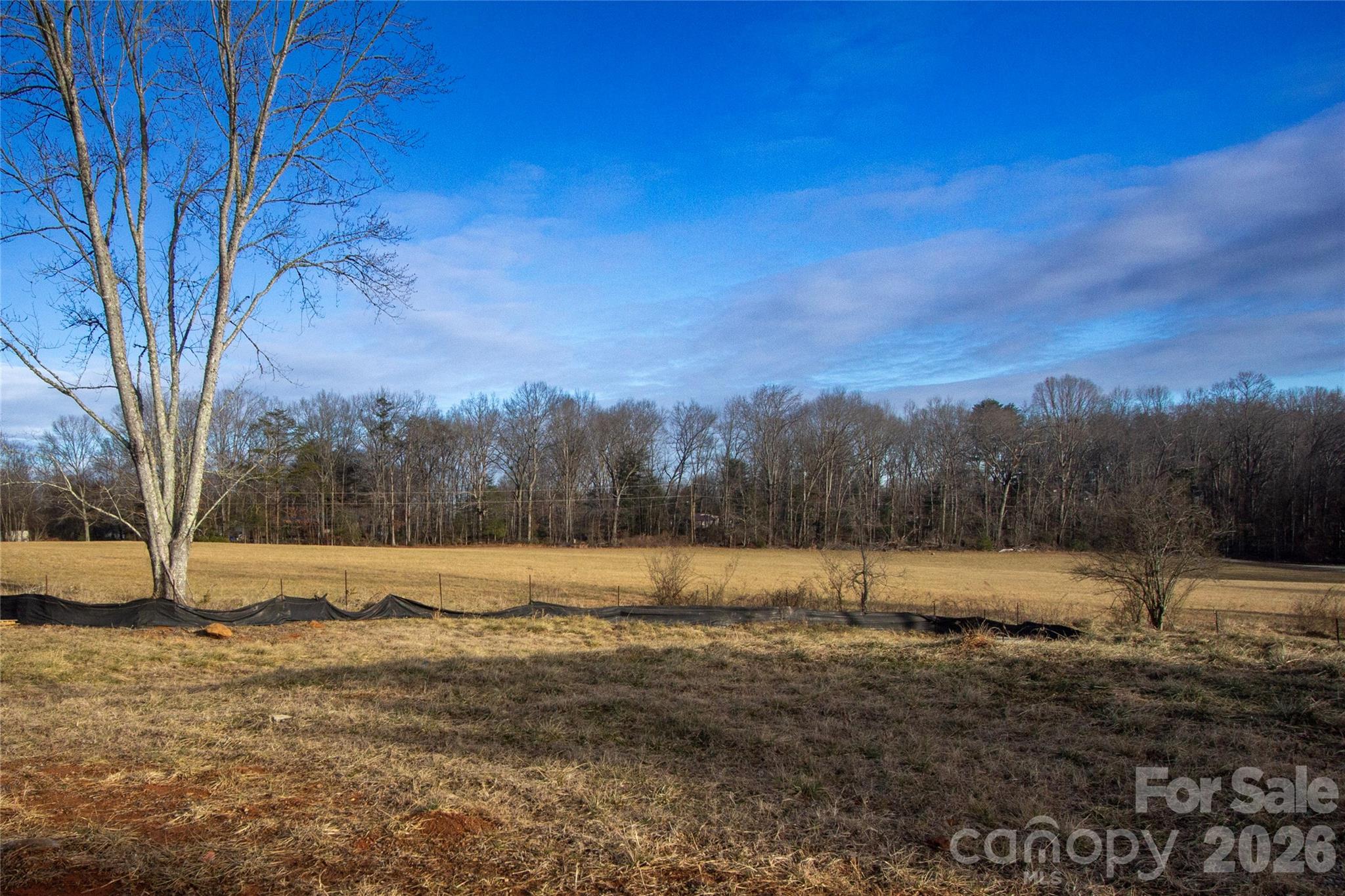 205 Southern Charm Road Arden, NC 28704 - Photo 33 of 34 a view of outdoor space with trees