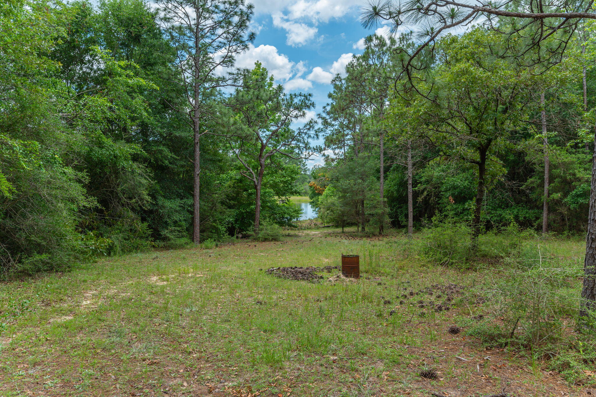 5710 Seminole Drive Crestview, FL 32536 - Photo 14 of 17 a big yard with lots of green space and deers