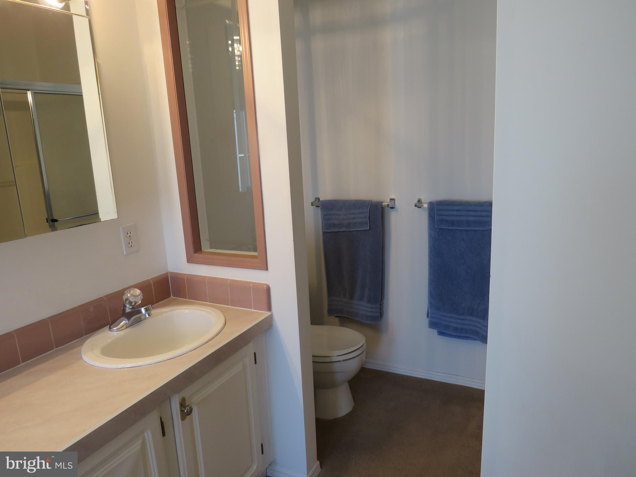342 Spring Meadow Circle New Hope, PA 18938 - Photo 28 of 40 Primary Bathroom