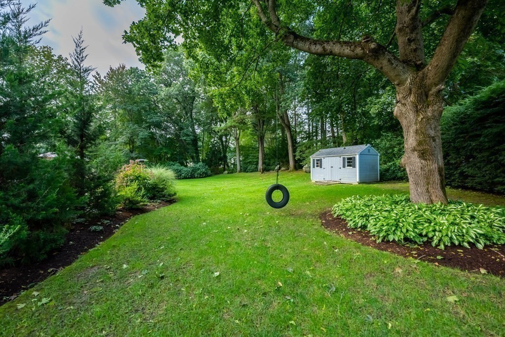 1 Rennie Drive Andover, MA 01810 - Photo 36 of 39 a view of a garden with a tree