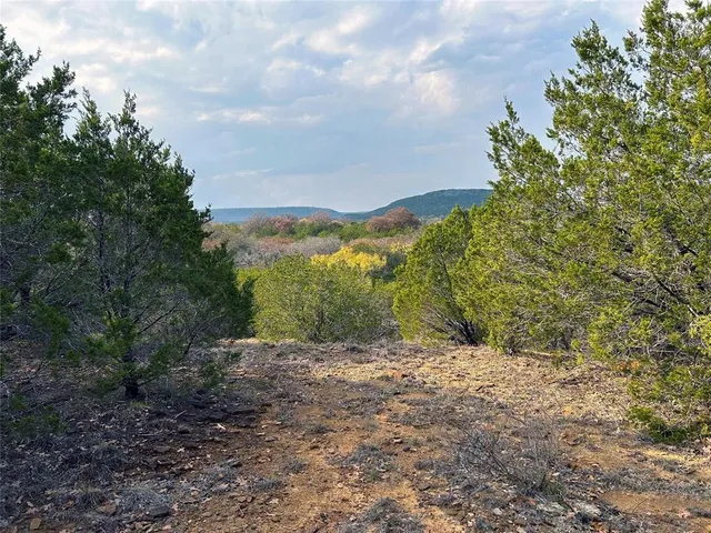 a view of a yard with a tree