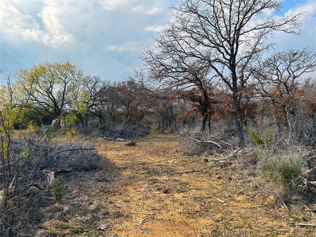 471 County Road 471 Strawn, TX 76475 - Photo 11 of 23 a view of a yard with plants and trees