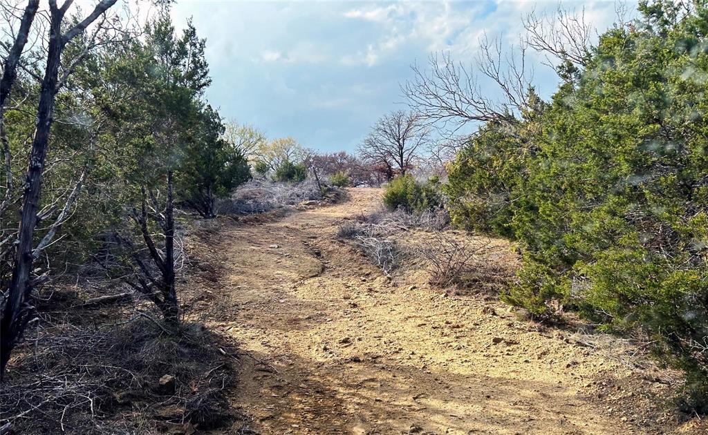 471 County Road 471 Strawn, TX 76475 - Photo 14 of 23 a view of a yard with plants and trees