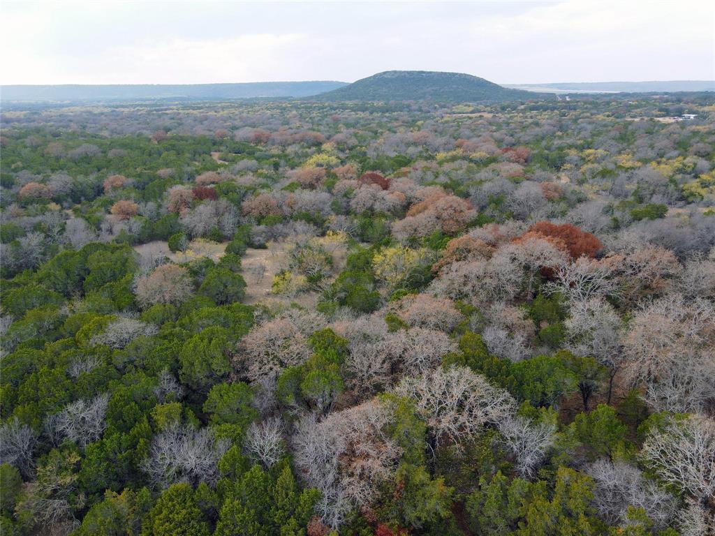 471 County Road 471 Strawn, TX 76475 - Photo 21 of 23 a view of a lush green forest with lush green forest