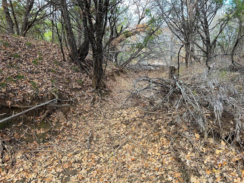 471 County Road 471 Strawn, TX 76475 - Photo 23 of 23 a view of a yard with a tree