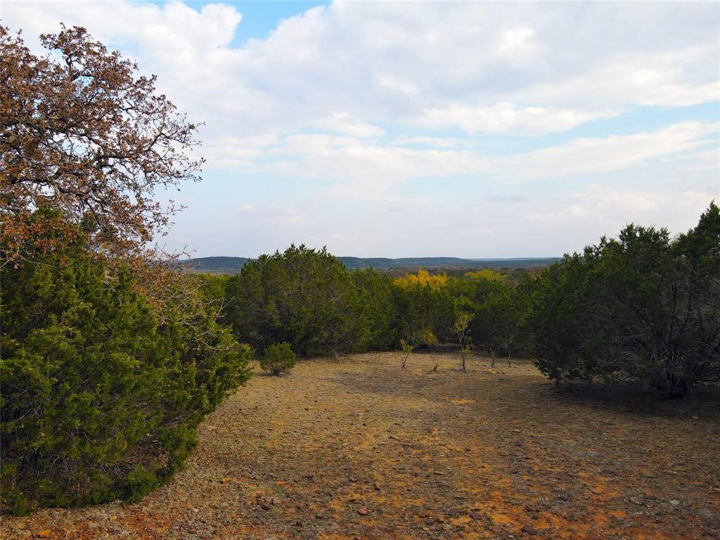 471 County Road 471 Strawn, TX 76475 - Photo 3 of 23 a view of a yard with a tree