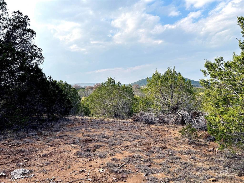 471 County Road 471 Strawn, TX 76475 - Photo 4 of 23 a view of a yard with a tree