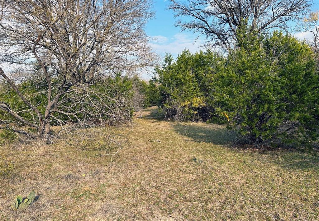 471 County Road 471 Strawn, TX 76475 - Photo 5 of 23 a view of a yard with plants and trees