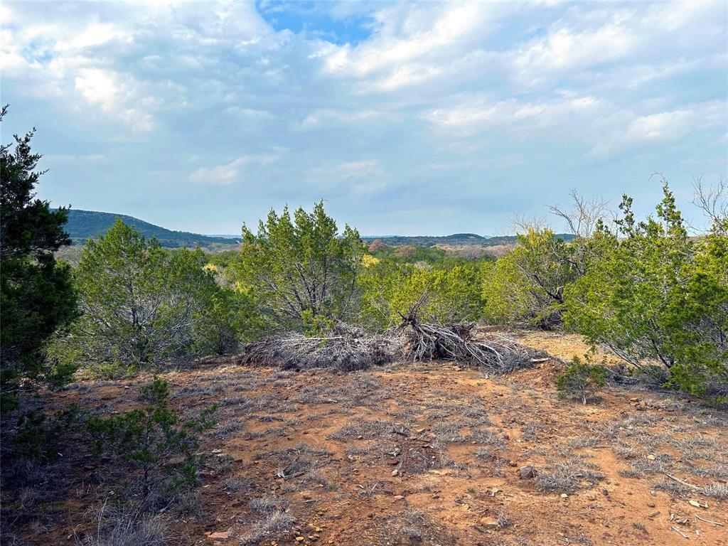 471 County Road 471 Strawn, TX 76475 - Photo 6 of 23 a view of a road with plants and trees