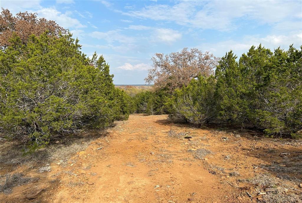 471 County Road 471 Strawn, TX 76475 - Photo 7 of 23 a view of a yard with trees in front of it