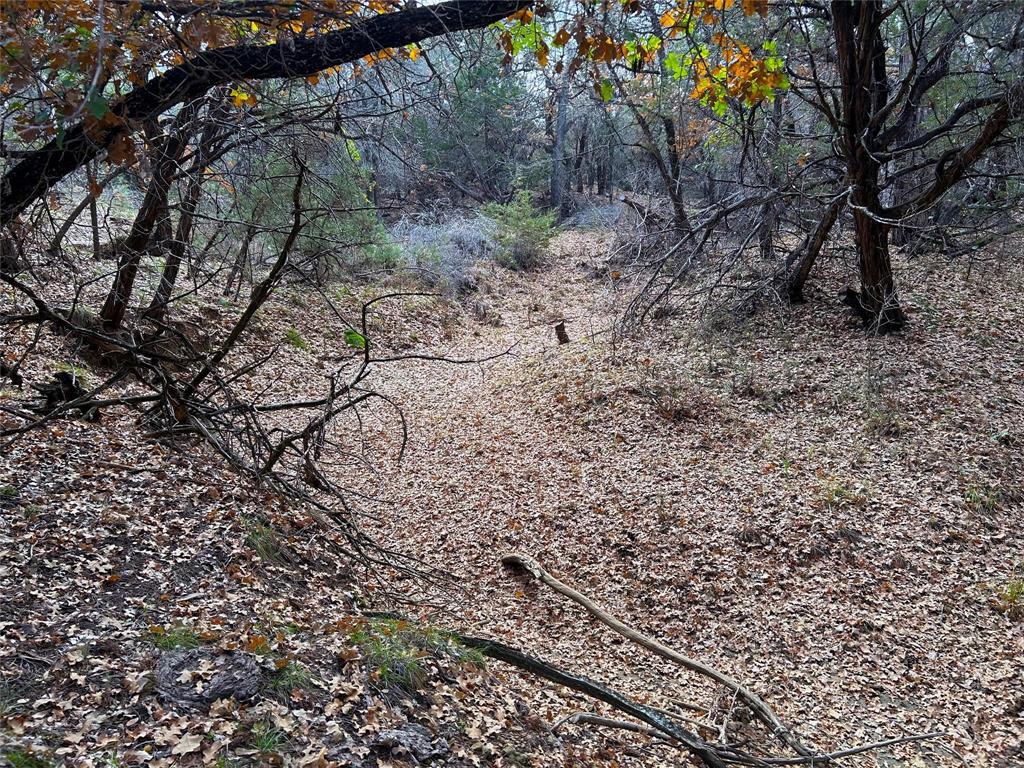 471 County Road 471 Strawn, TX 76475 - Photo 9 of 23