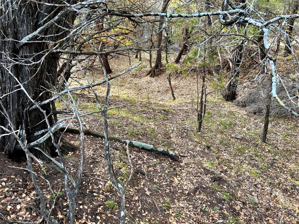 471 County Road 471 Strawn, TX 76475 - Photo 10 of 23 a view of a yard with a tree