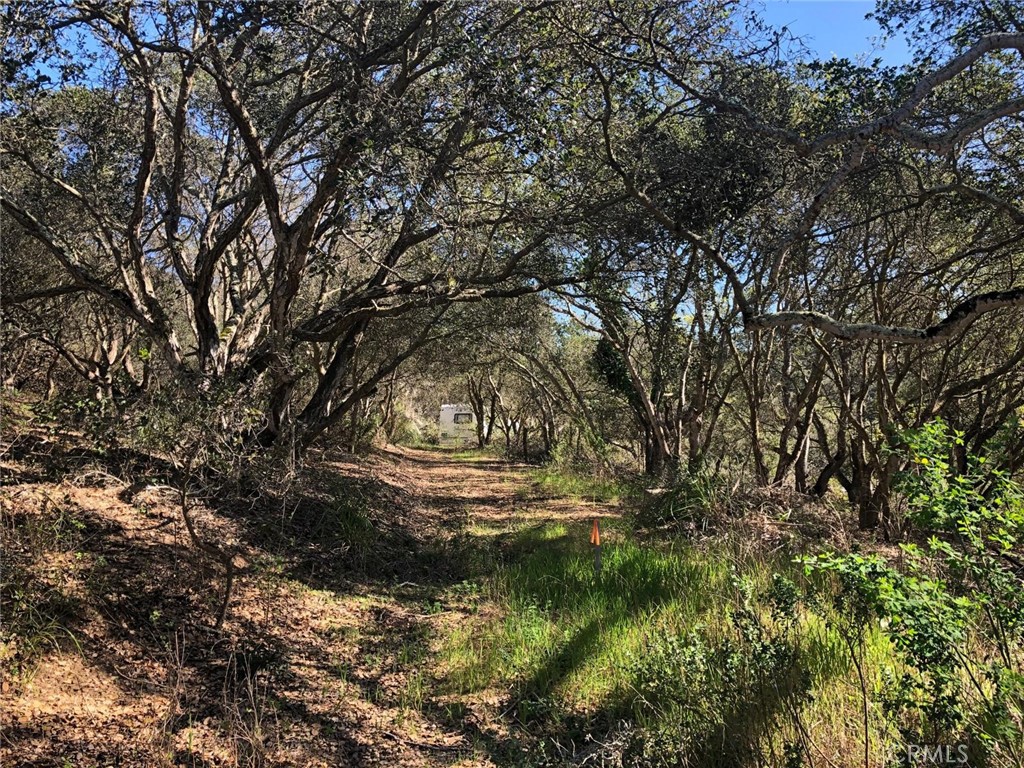 221 Tucker Road Watsonville, CA 95076 - Photo 29 of 31